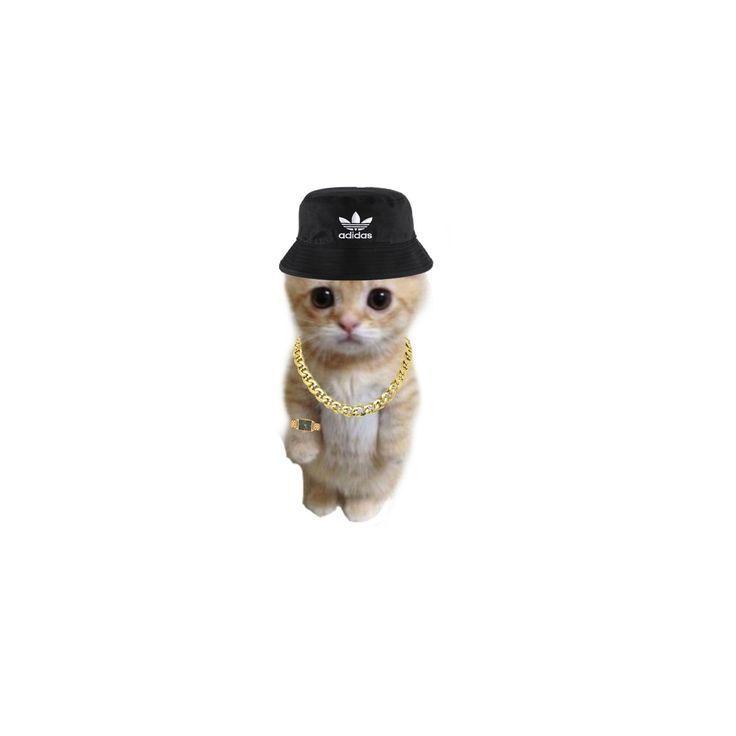 Wainox_RS avatar