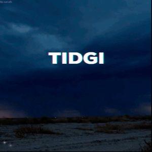 Tidg1 avatar