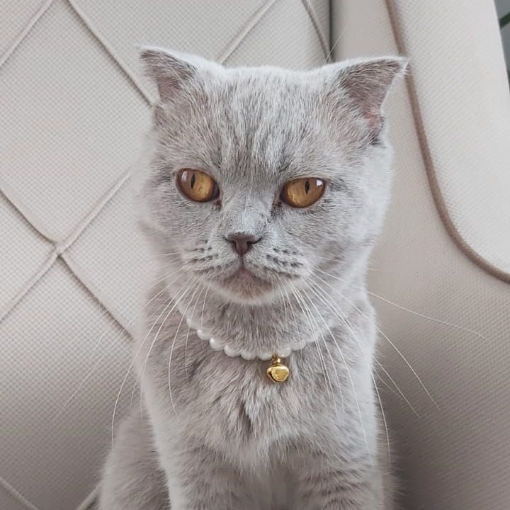 JFyou