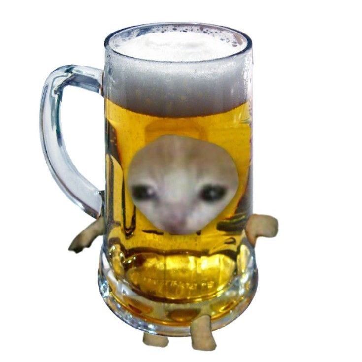 P0LT0RASHKA_
