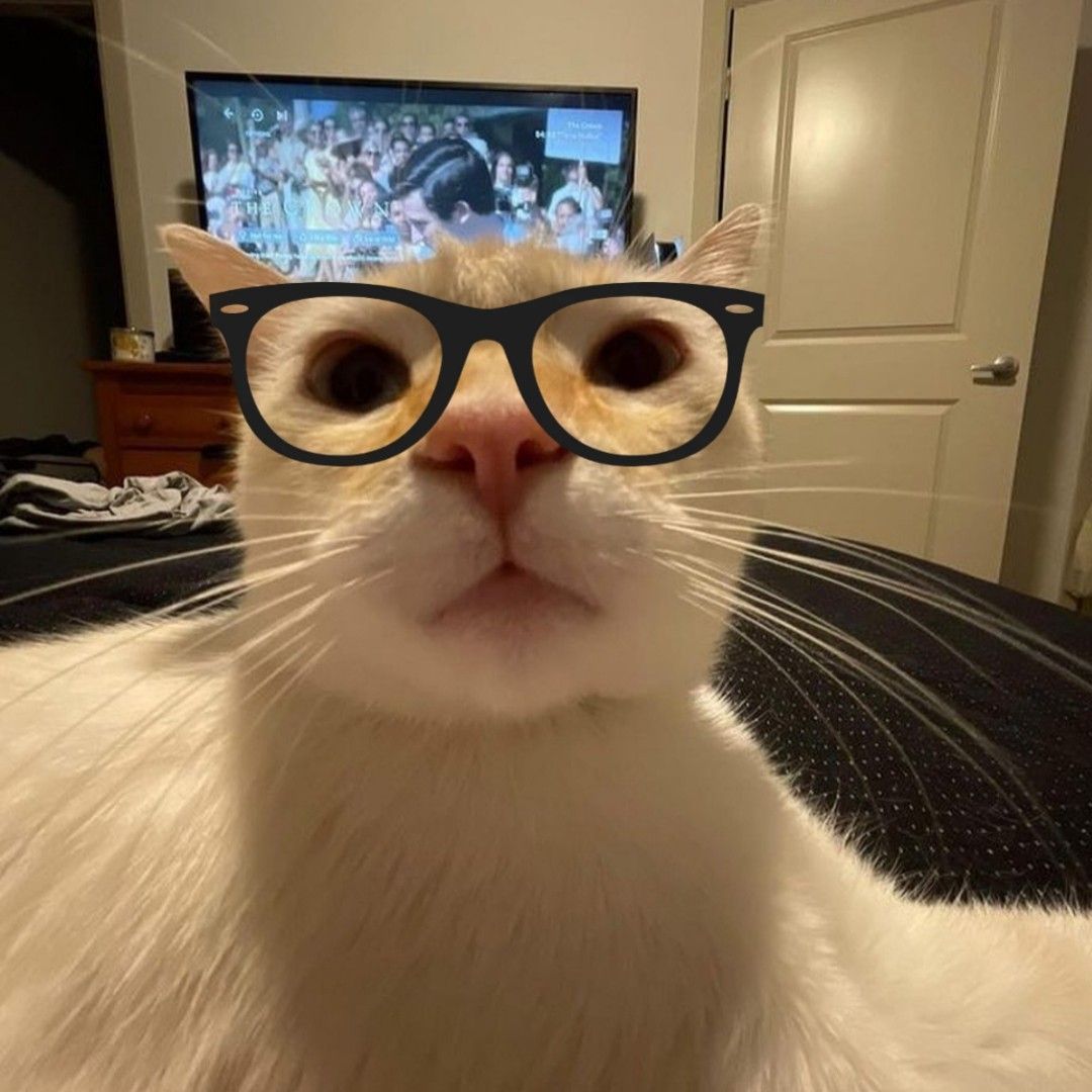 Rltuxls avatar