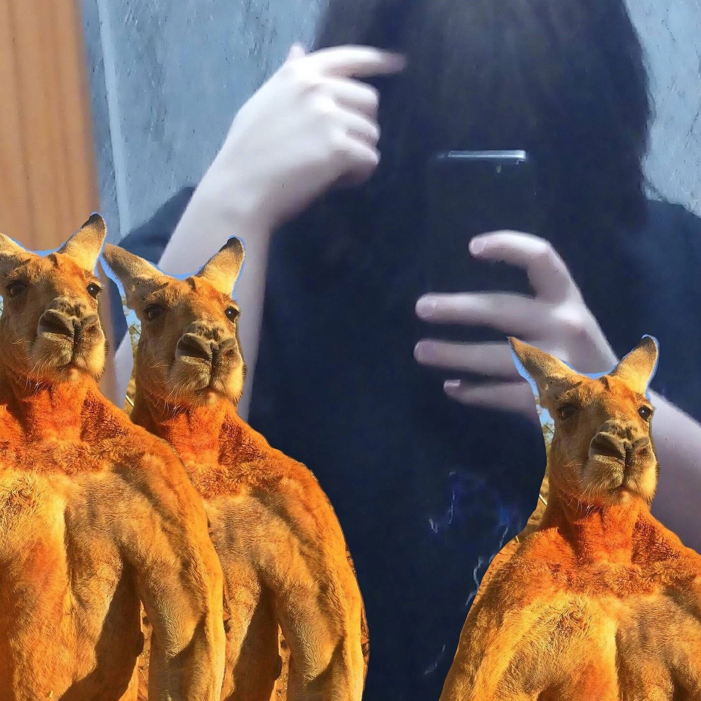 mode rostelekom