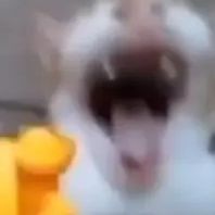 VotaMin
