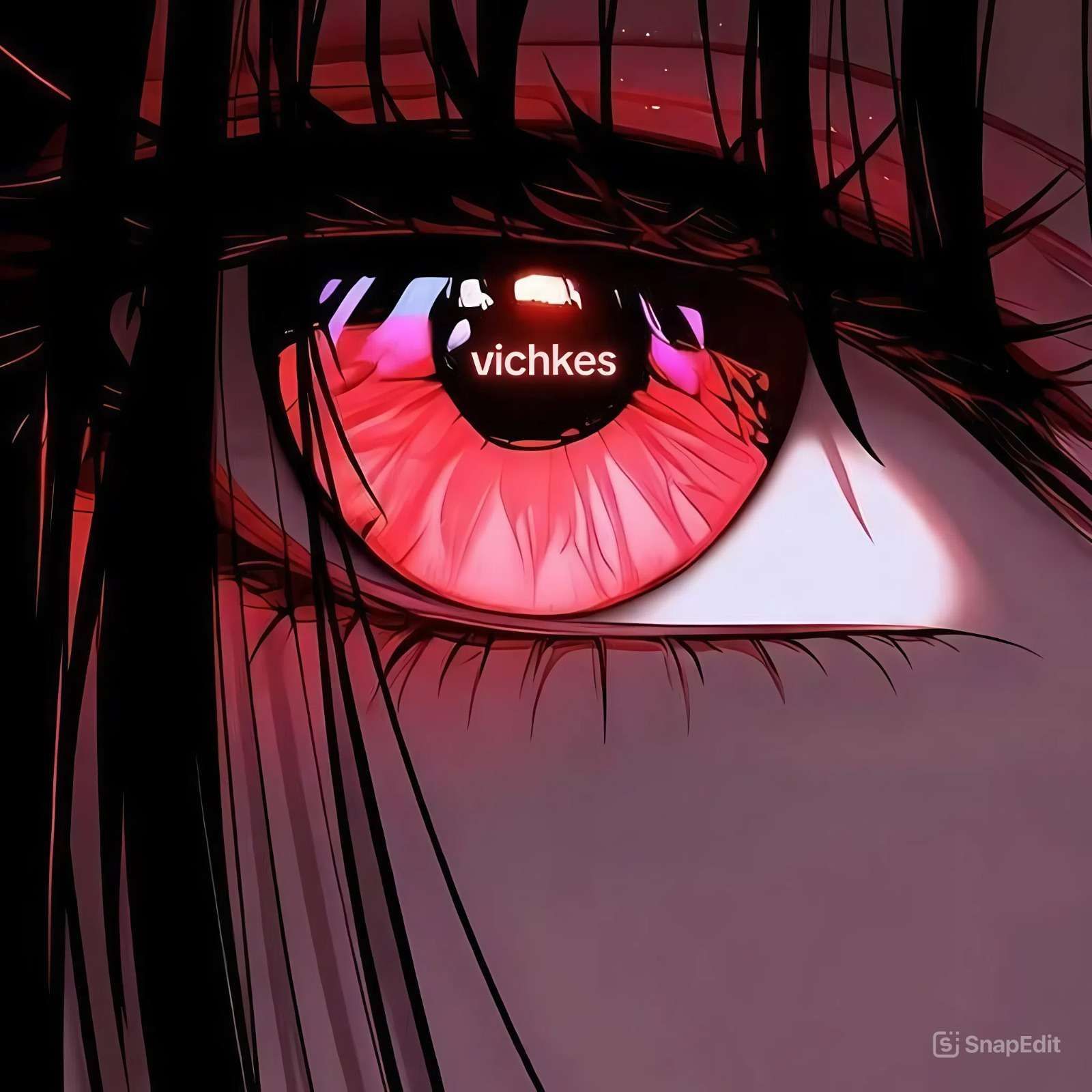v1chkes