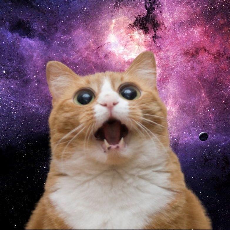 DOR3 avatar