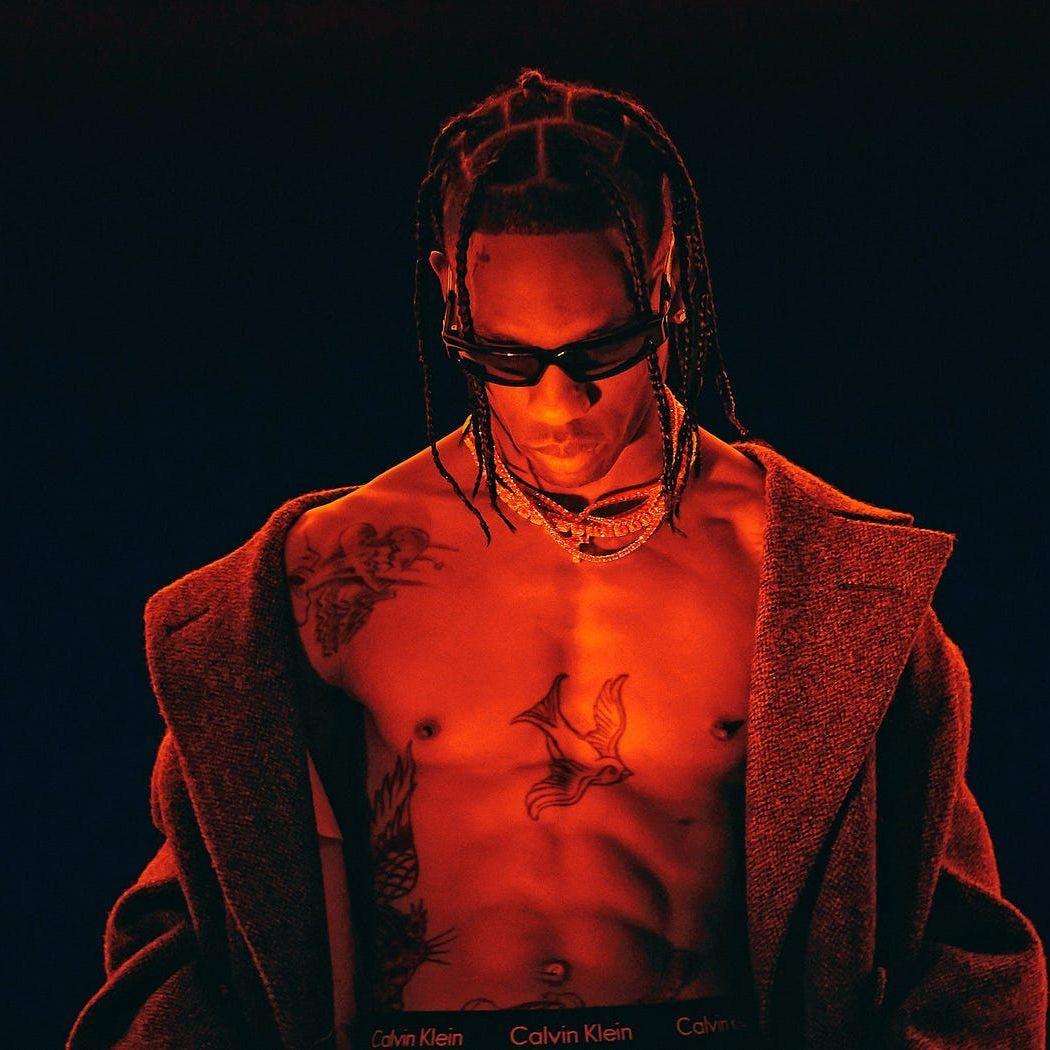 T-oZeD avatar