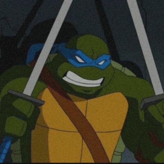 pozya avatar