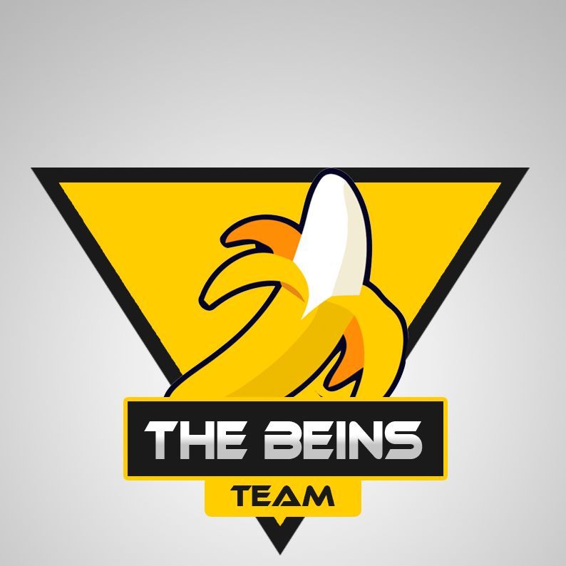 TheBeins