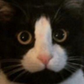 oodpoo avatar
