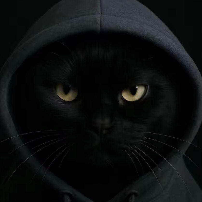 TRAX_ER avatar