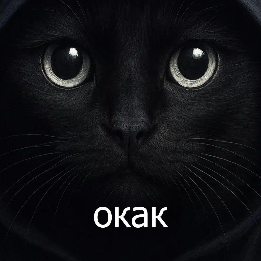 D4LLA5 avatar