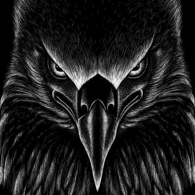 Swap11 avatar