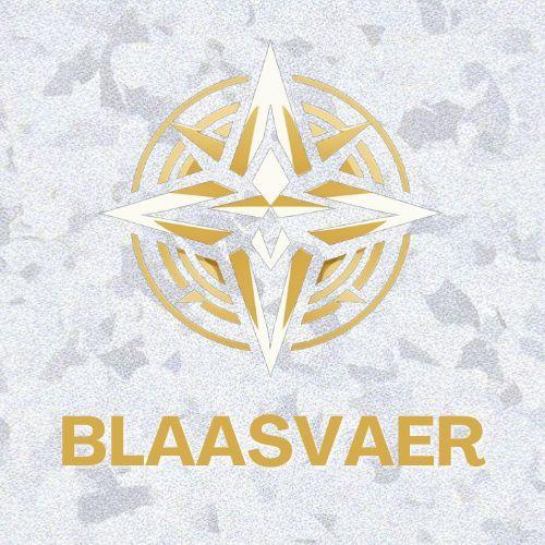 Blaasvaer avatar