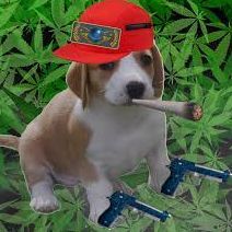 -UrsA FACEIT avatar