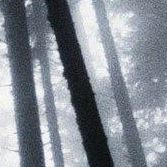 OVCA666peek