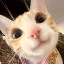 Crymsix avatar