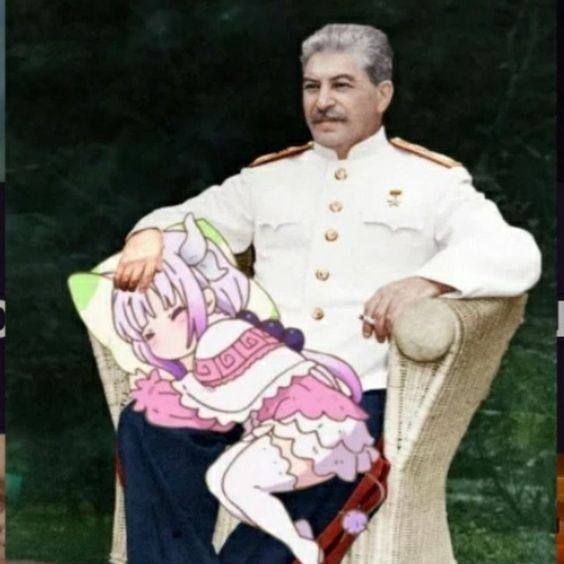 RexPach