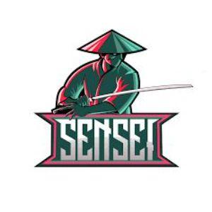 Sensei99rus avatar