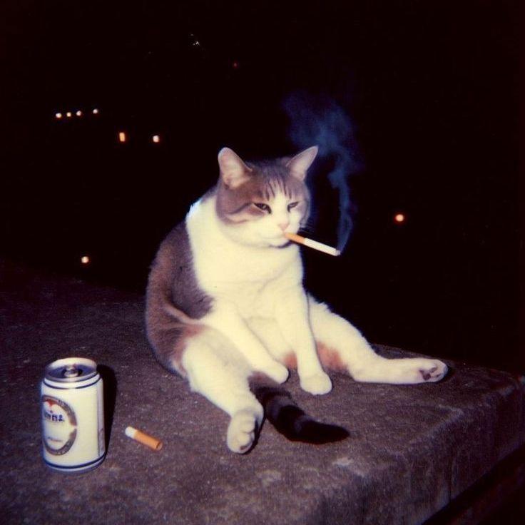 hellxsts avatar