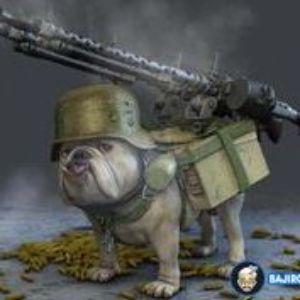 50 Dogs Down