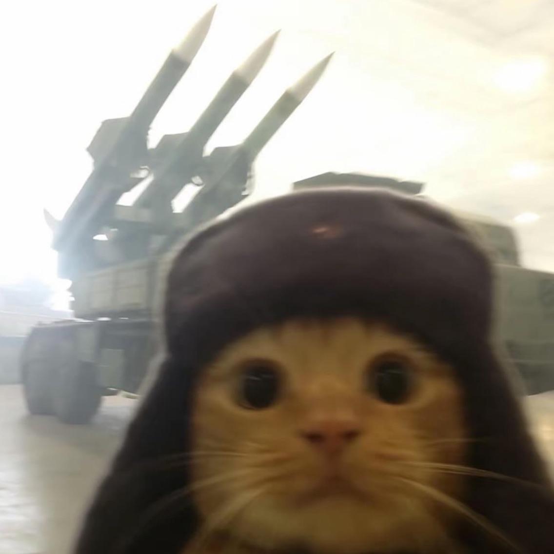 k0t9r avatar