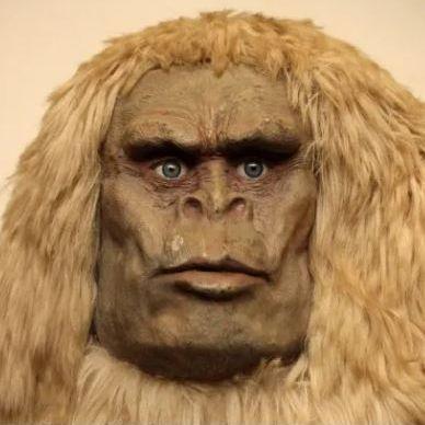 granbarken avatar