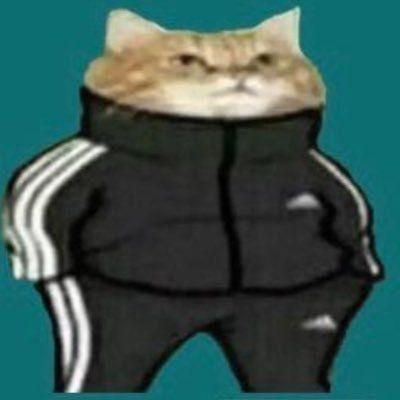 EcthelionX avatar