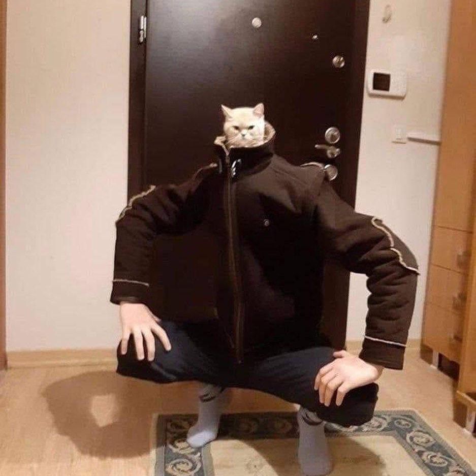 W3KRO