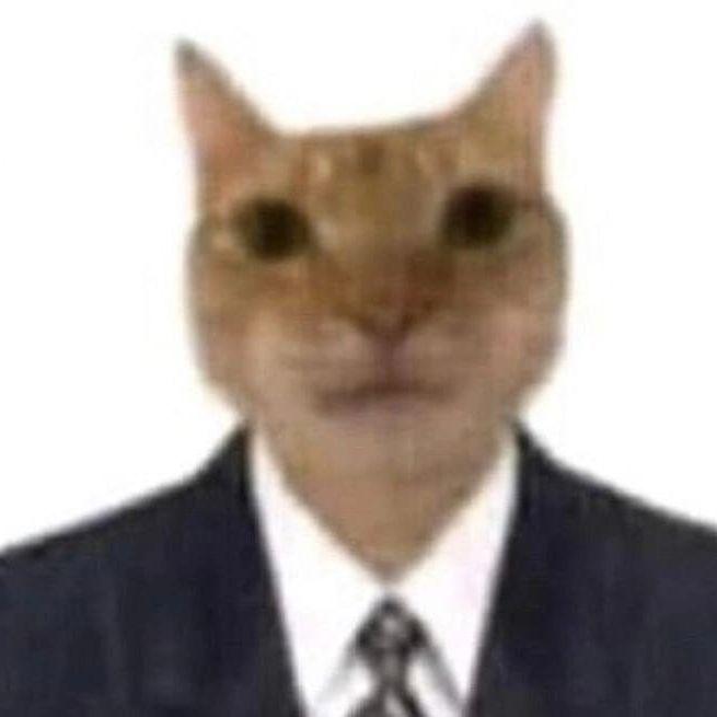 MUSILLA avatar