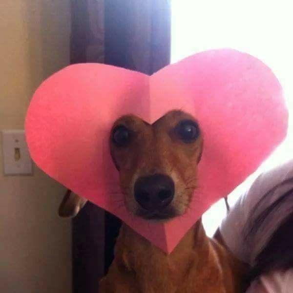 sieczka
