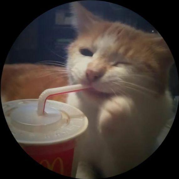 PurpHusk avatar