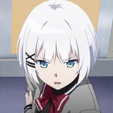 forms55 avatar