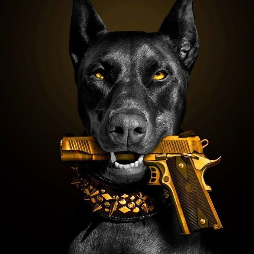 Desolex FACEIT avatar