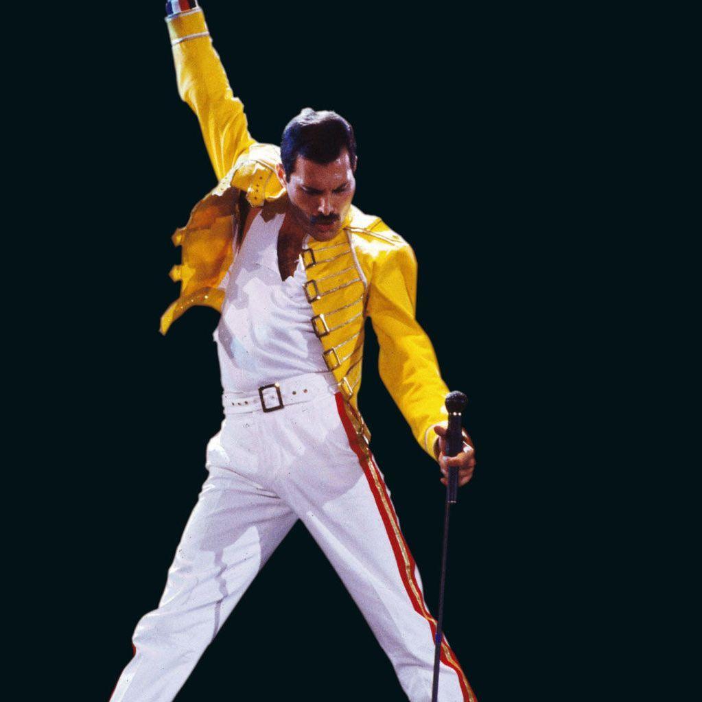 Freddie-Mcry avatar