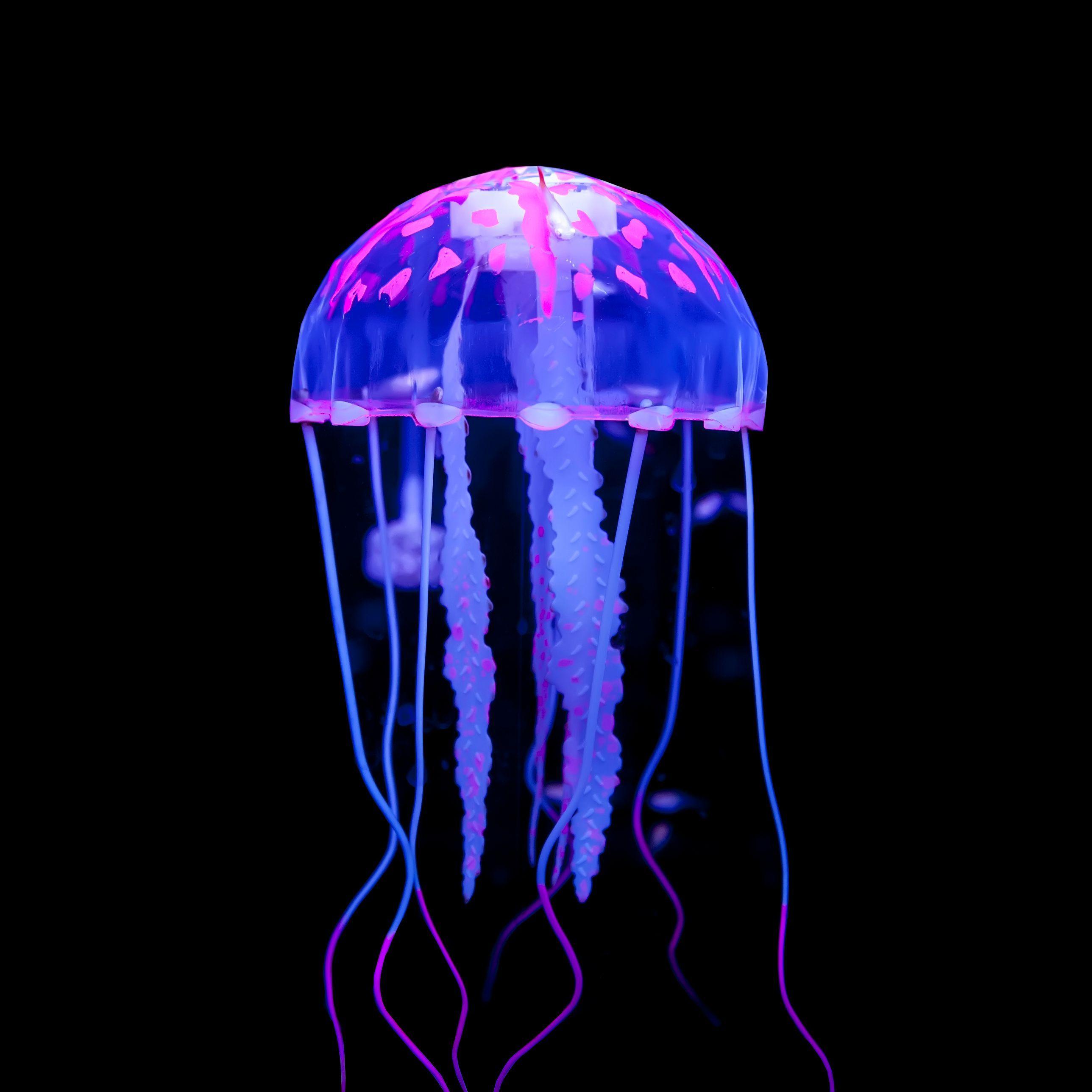 Jellyfish07 avatar