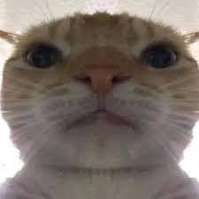 MattanDee avatar