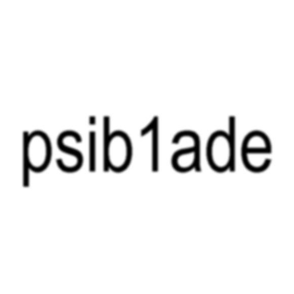 -_-psib1ade avatar