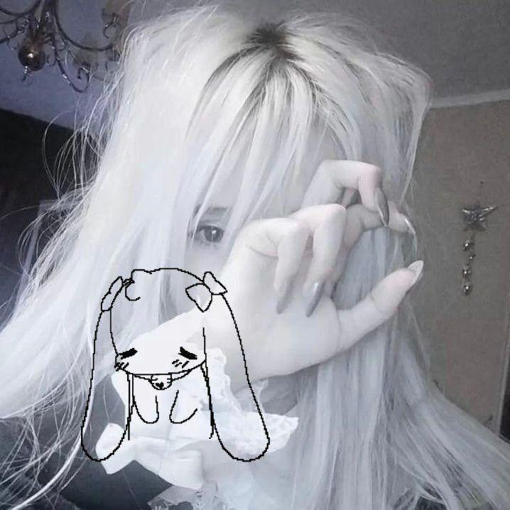 Leecheff avatar
