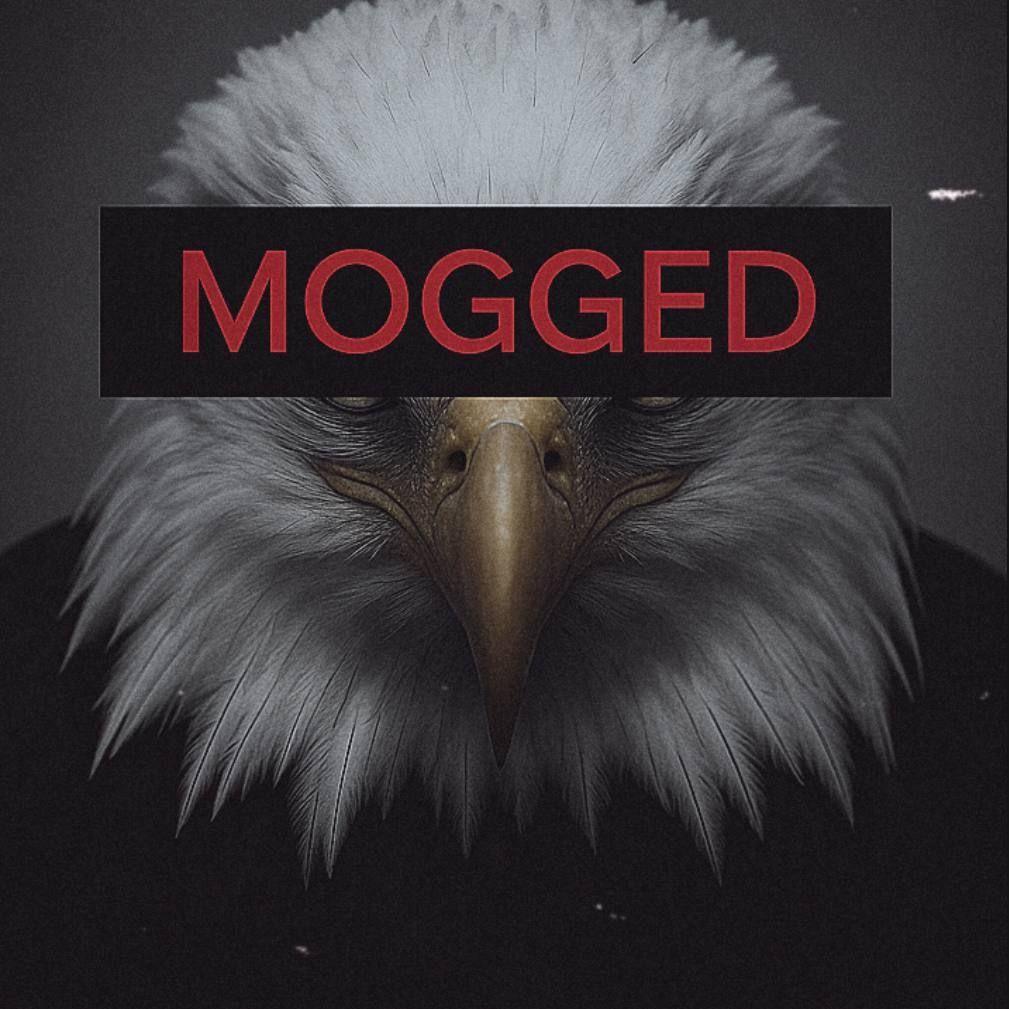 mogged1337 avatar