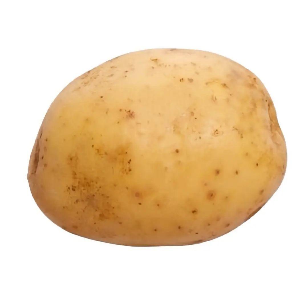 NVR_W1zar avatar