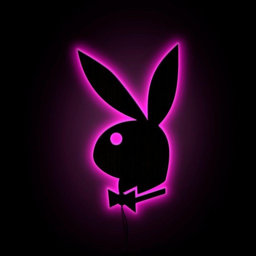 KZ_rabbit