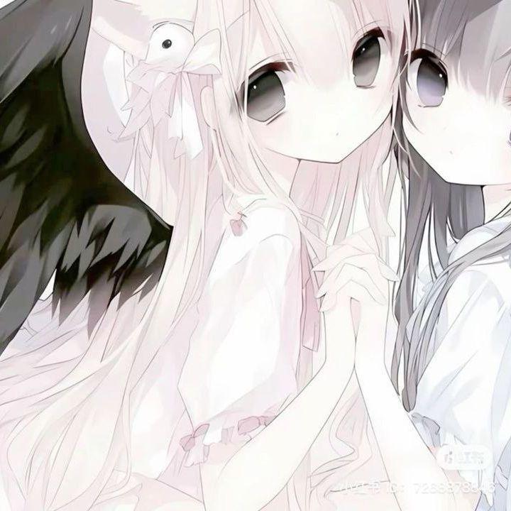 sh1nk0- avatar