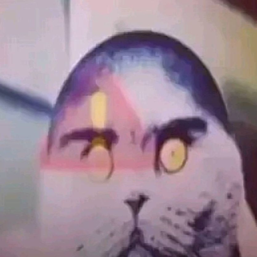 ImBobert