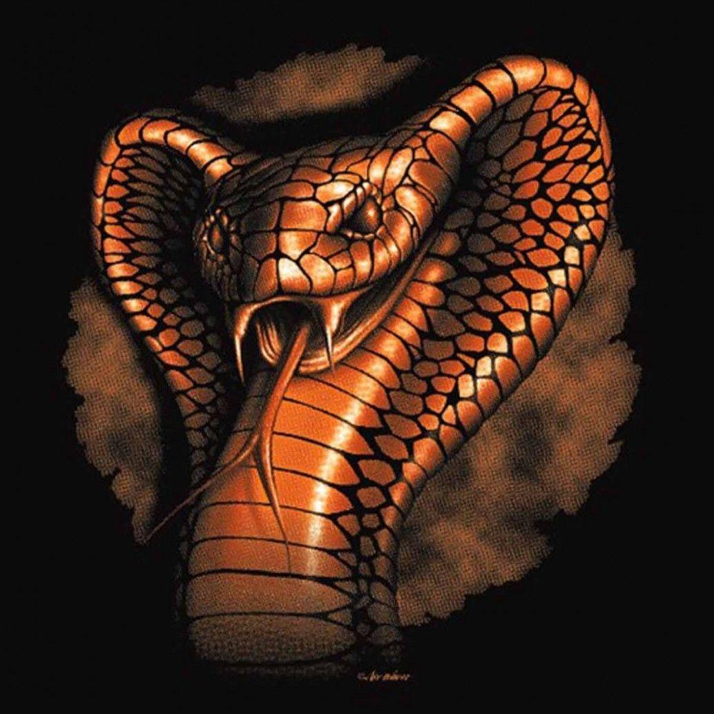 cobra005