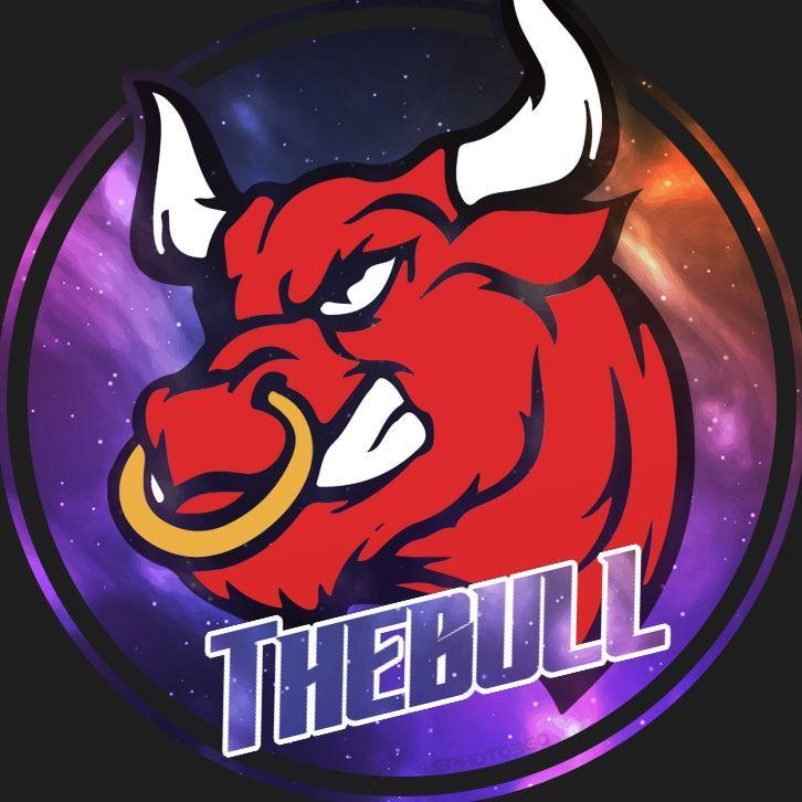 Player -TheBULL avatar