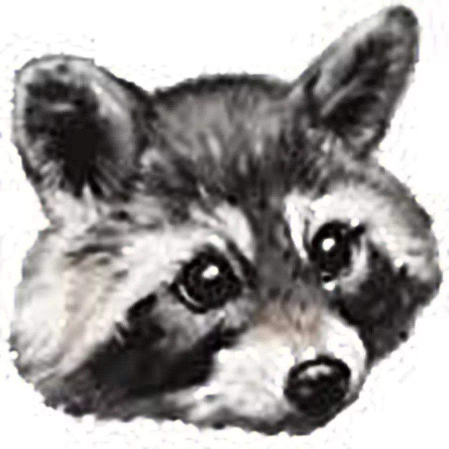 Toolpa avatar