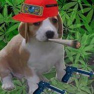 EIGrizz avatar