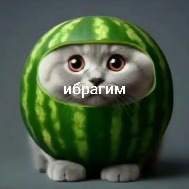 SaynrexX