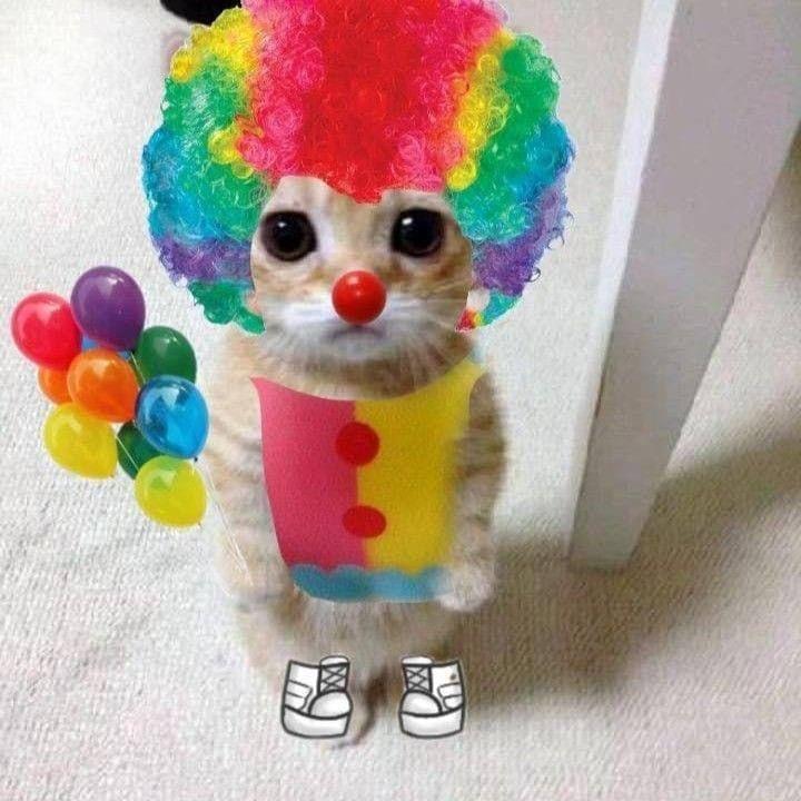 zenl1rr avatar