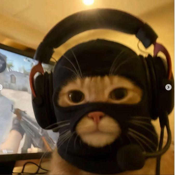 Fenixennn avatar
